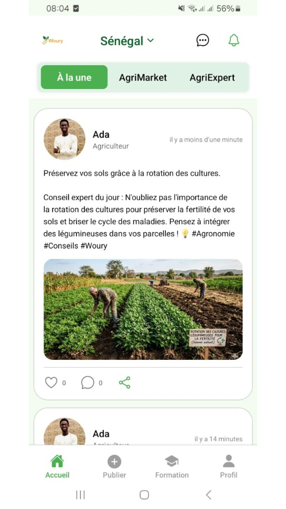 Fil d'actualité agricole
