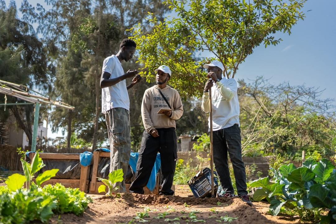 Formation d'agripreneurs en pr\u00e9sentiel